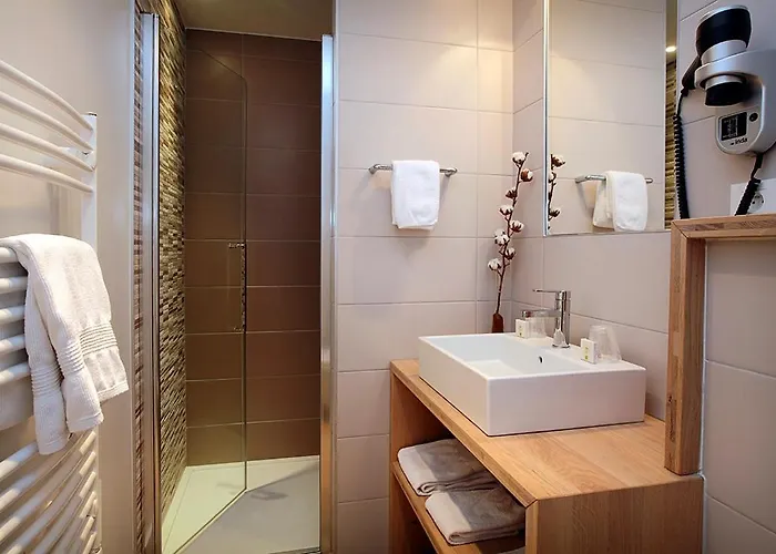 Logis De La Nivelle 3*